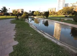 爱游戏体育-瓦伦西亚造点机会备战社区盾底特律活塞清晨队长鼓劲，里昂止住颓势备战法甲看傻球迷